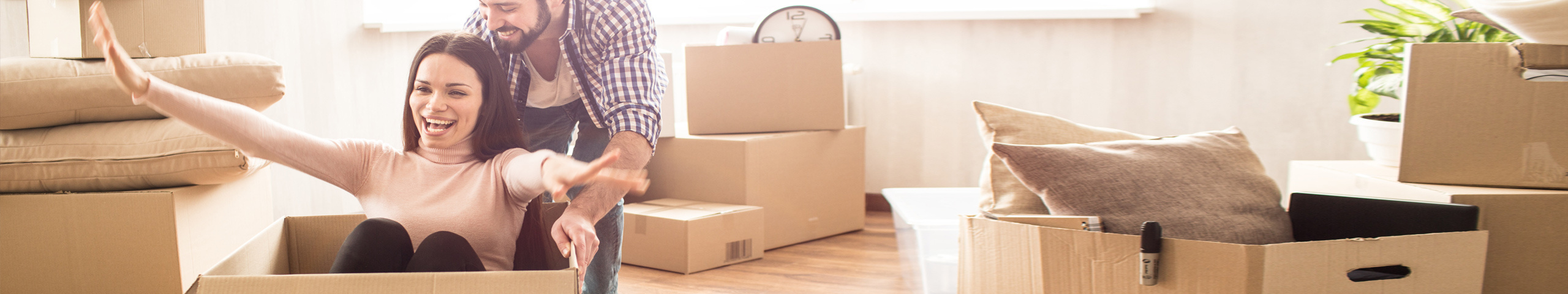 D´Oria & Lenhardt GmbH D´Oria & Lenhardt GmbH